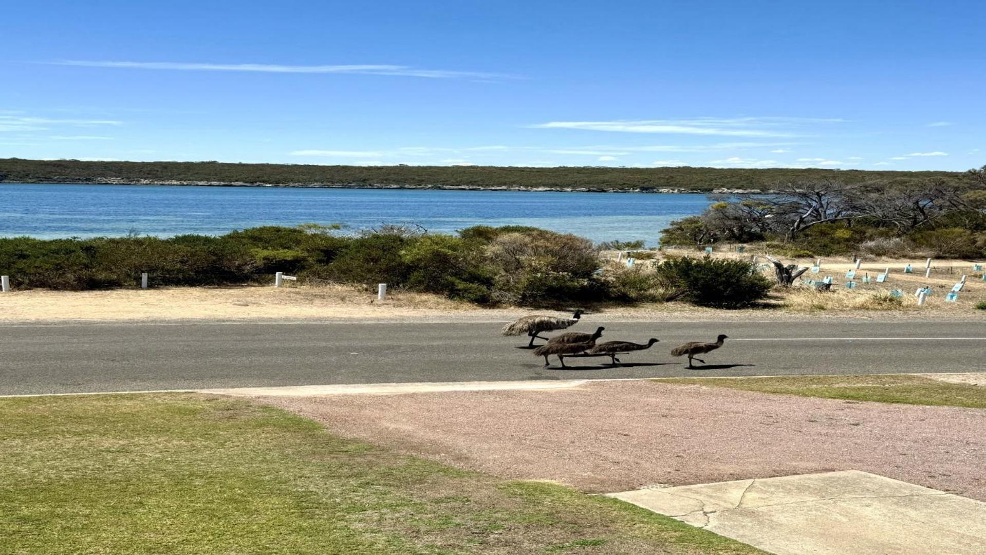 White Springs, Our Peaceful Holiday House In Coffin Bay Luaran gambar